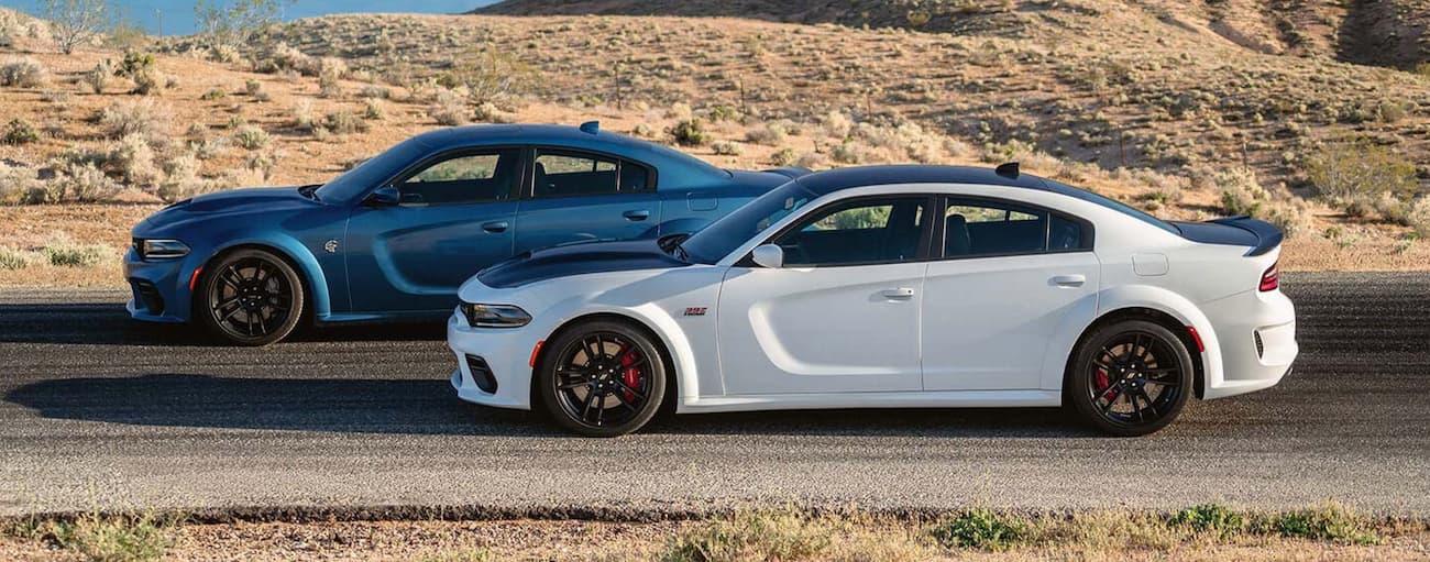 A white and a blue 2023 Dodge Charger for sale are shown from the side.