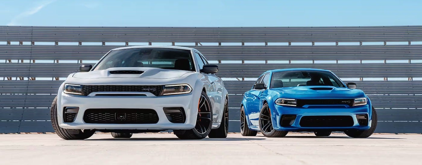 A white and a blue 2023 Dodge Charger Hellcat are shown from the front.